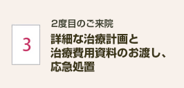 詳細な治療計画と応急処置